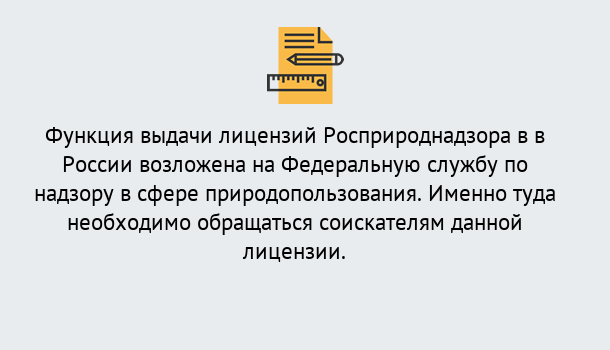 Почему нужно обратиться к нам? Ростов Лицензия Росприроднадзора. Под ключ! в Ростов