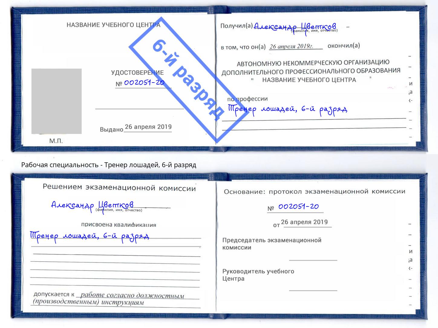 корочка 6-й разряд Тренер лошадей Ростов
