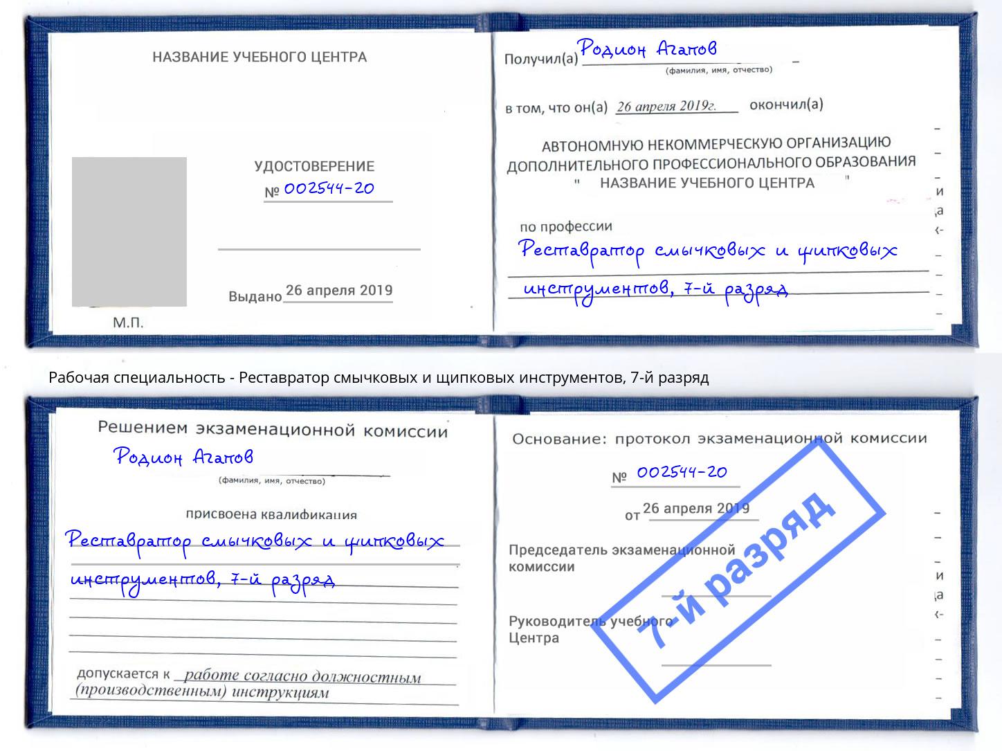 корочка 7-й разряд Реставратор смычковых и щипковых инструментов Ростов