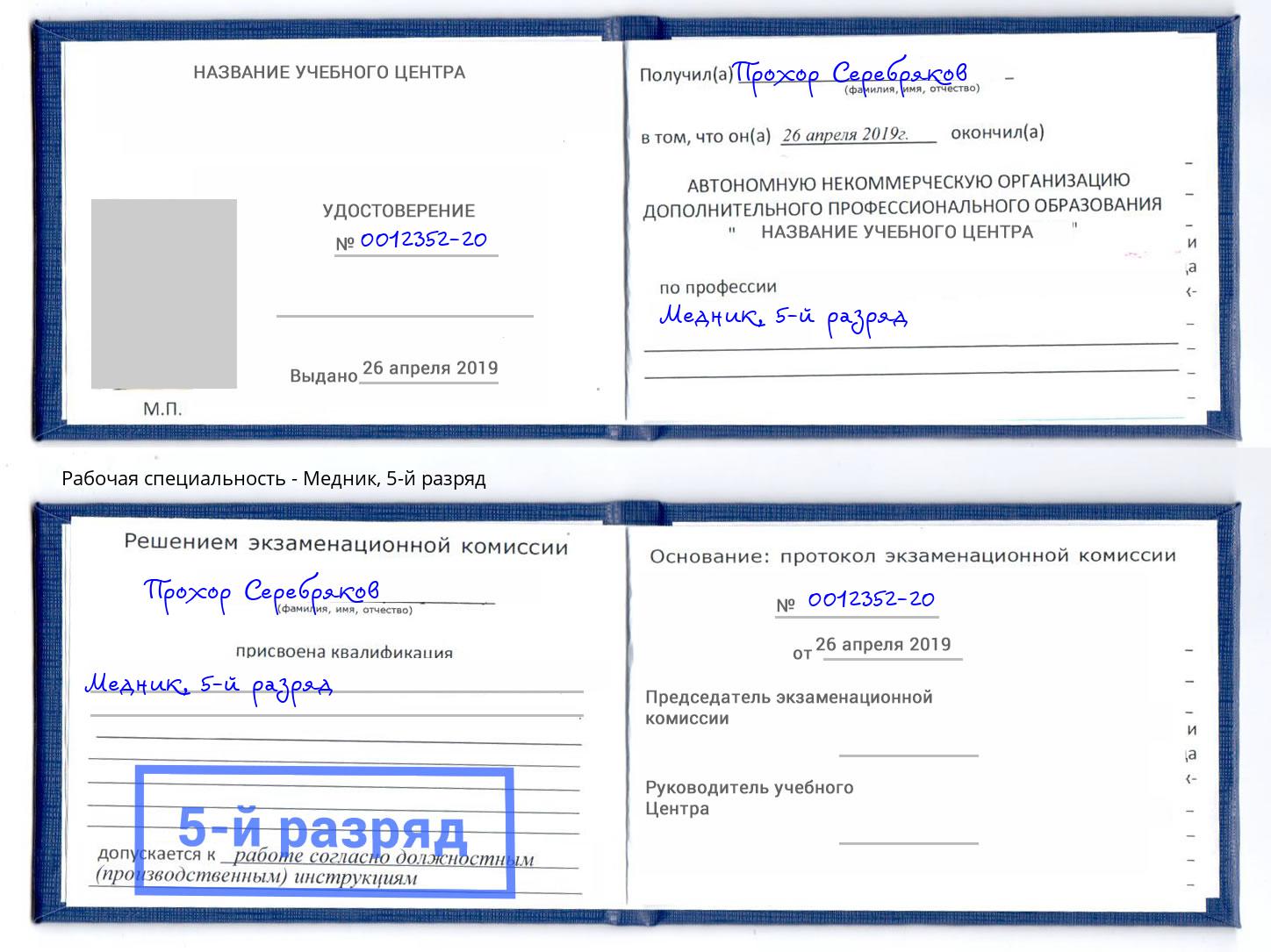 корочка 5-й разряд Медник Ростов