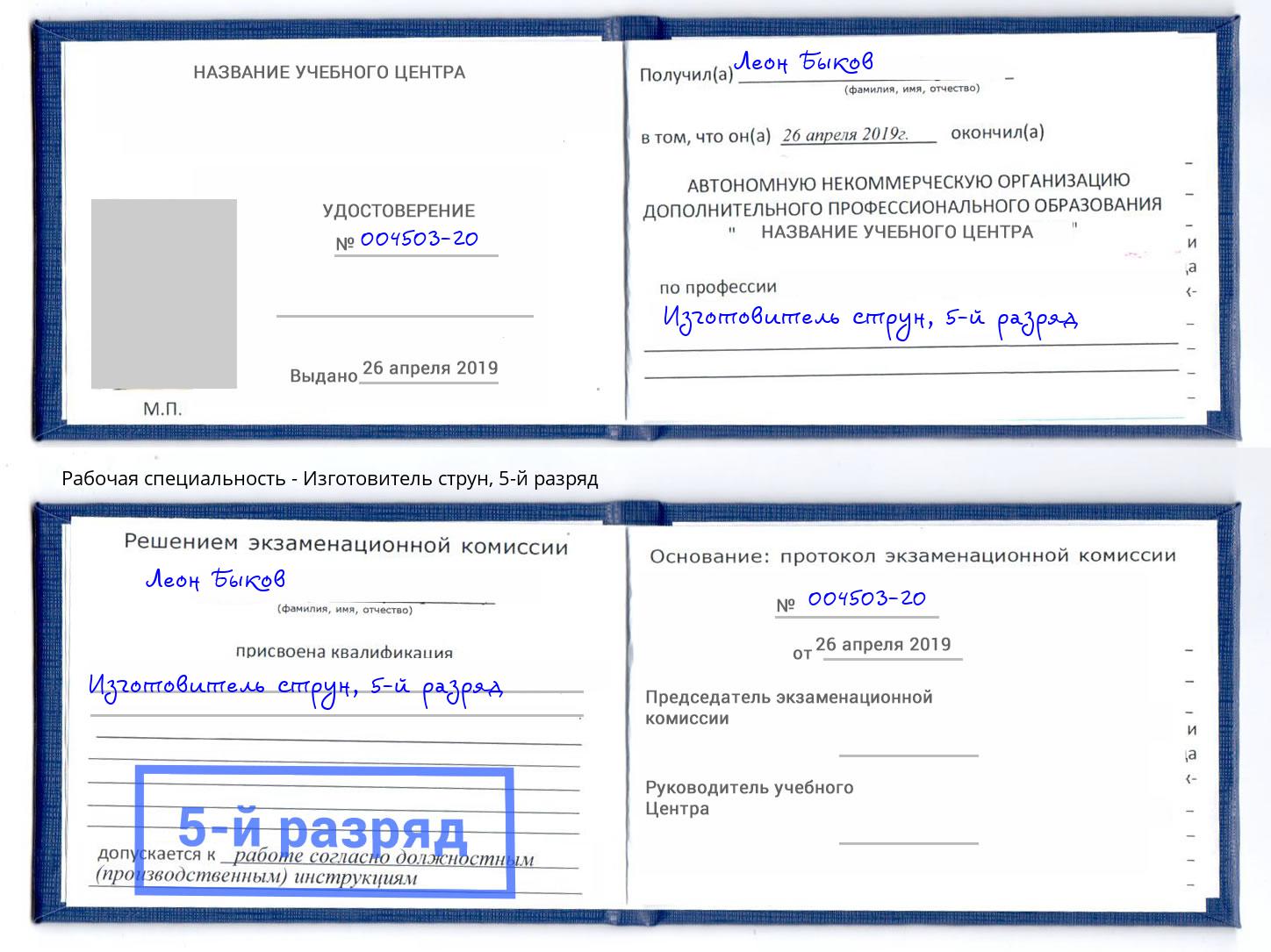 корочка 5-й разряд Изготовитель струн Ростов